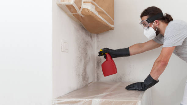 Professional Crawl Space Mold Remediation technician working in Arlington, MN