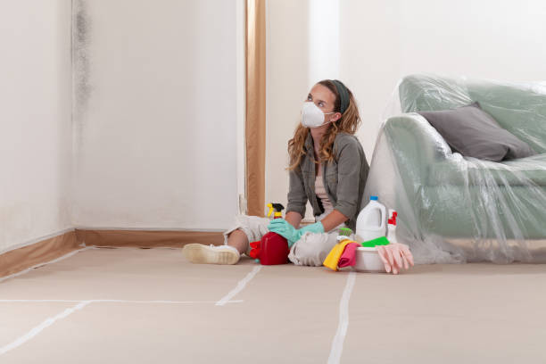 Reliable Crawl Space Mold Remediation contractor in Arlington, MN by 24 Hour Mold Removal